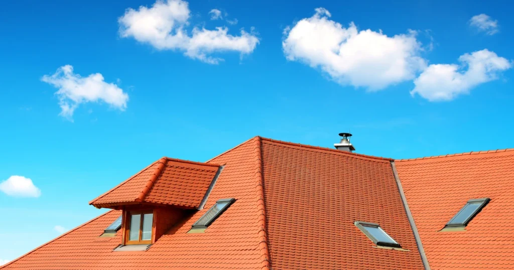 Sitting dogs on roofs in Luxembourg - the guide