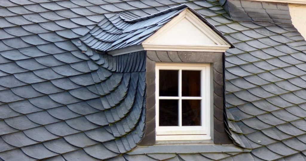 Sitting dogs on roofs in Luxembourg - the complete guide